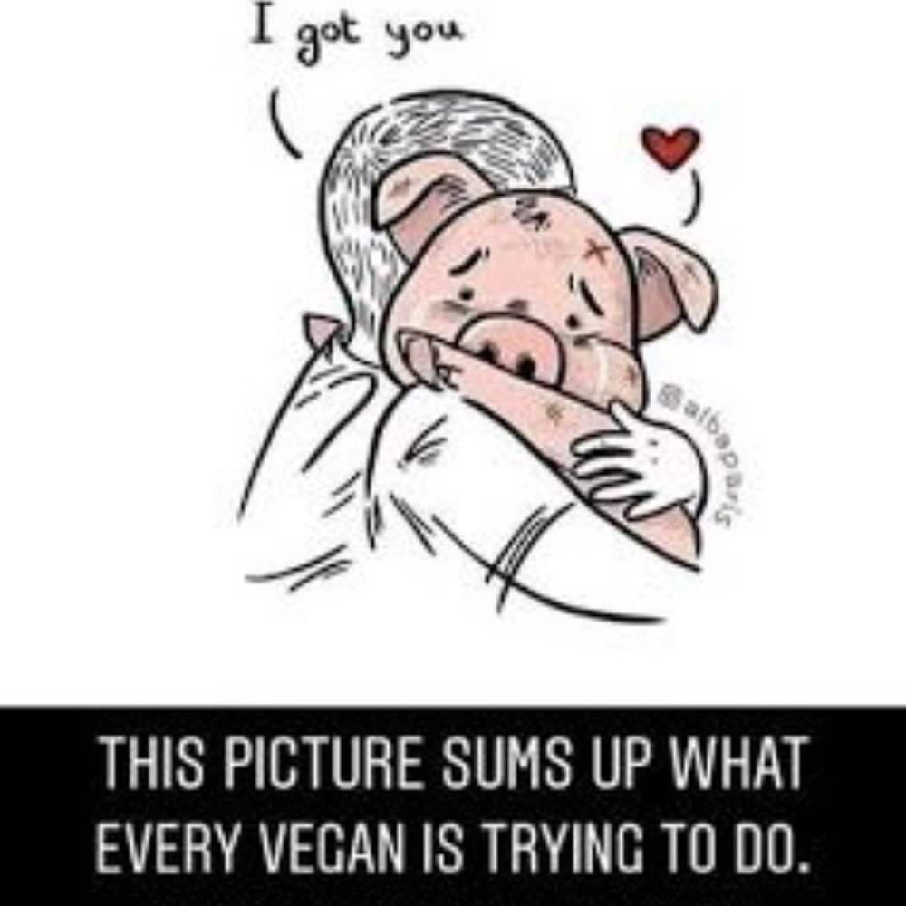 If we can live well without harming other living beings, why wouldn't we? - Picture 4 of 15